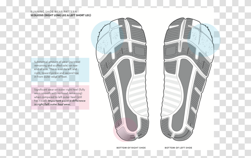 Shoe Sole Sneakers, Apparel, Footwear, Flip-Flop Transparent Png