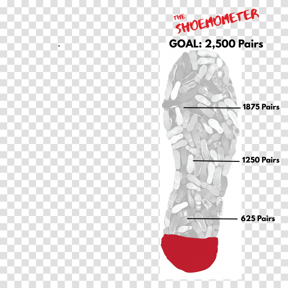 Shoe Thermometer Tracking Bridge Ii Sports Shoe Donations Funds2orgs Shoe Drive, Beverage, Alcohol, Plant Transparent Png