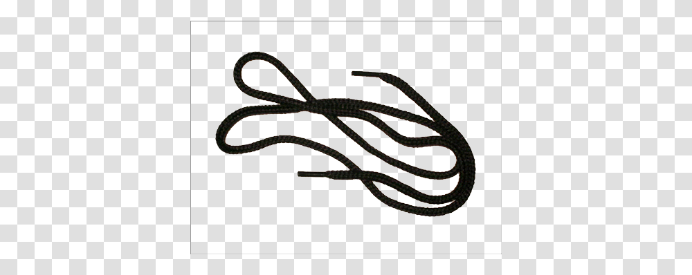Shoelaces, Snake, Reptile, Animal Transparent Png