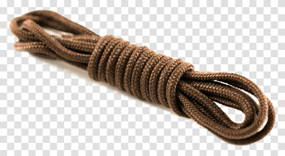 Shoelaces Rope, Snake, Reptile, Animal, Lizard Transparent Png