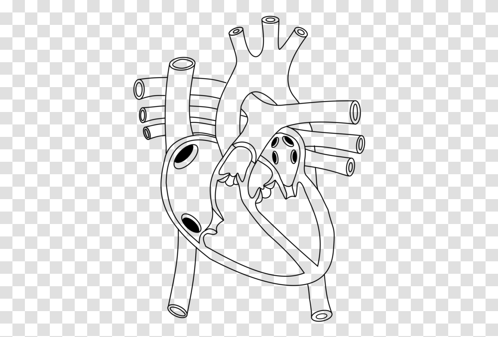 Shoeline Artangle Diagram Of Heart In Human Body, Gray, World Of Warcraft Transparent Png