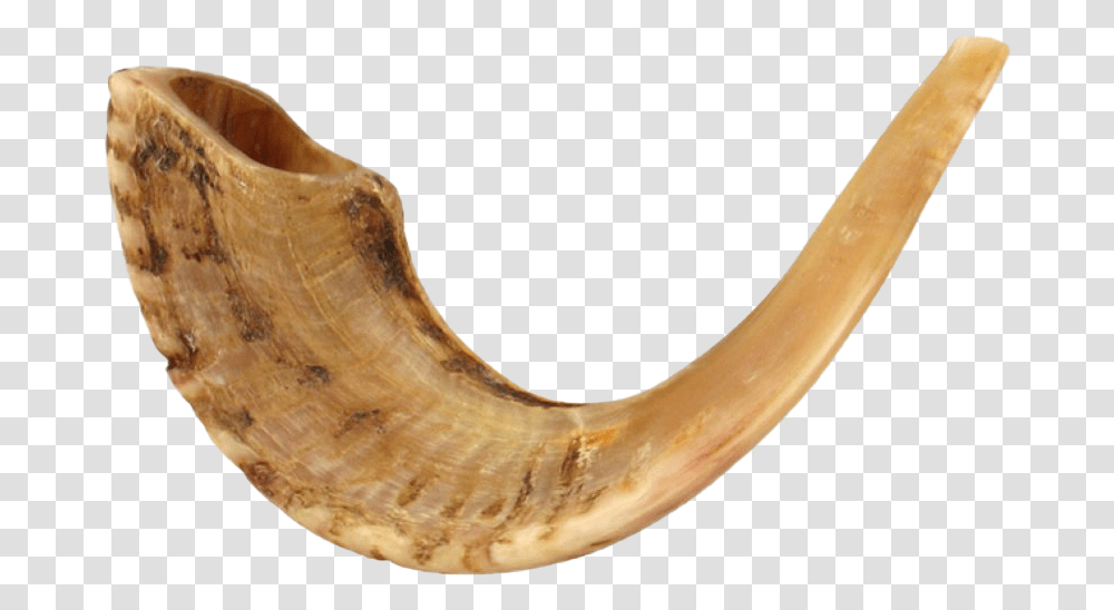 Shofar Horn Image Ram Horn Instrument, Brass Section, Musical Instrument Transparent Png