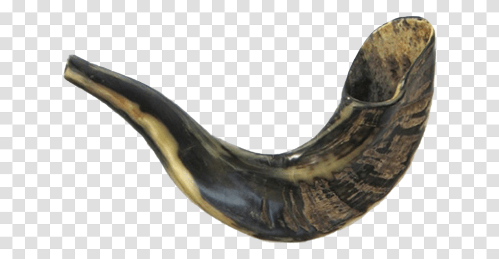 Shofar Picture Rams Horn, Brass Section, Musical Instrument, Snake, Reptile Transparent Png