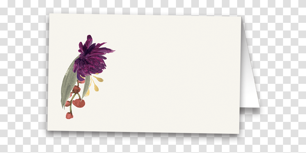 Shop By Color Archives, Dahlia, Flower, Plant, White Board Transparent Png