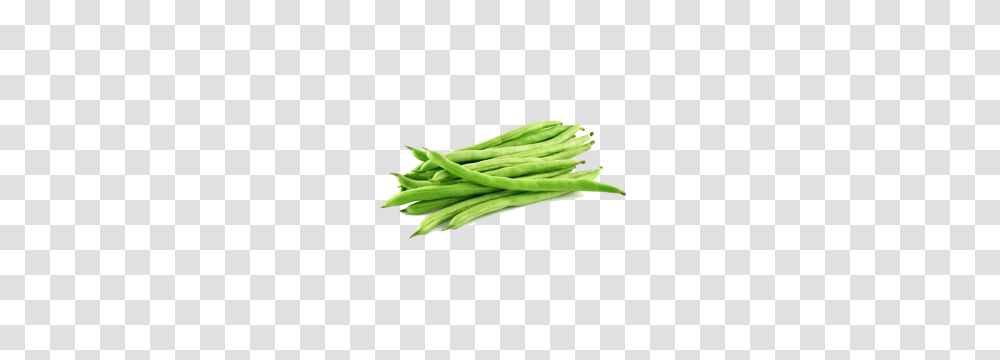 Shop Green Beans, Plant, Vegetable, Food, Produce Transparent Png