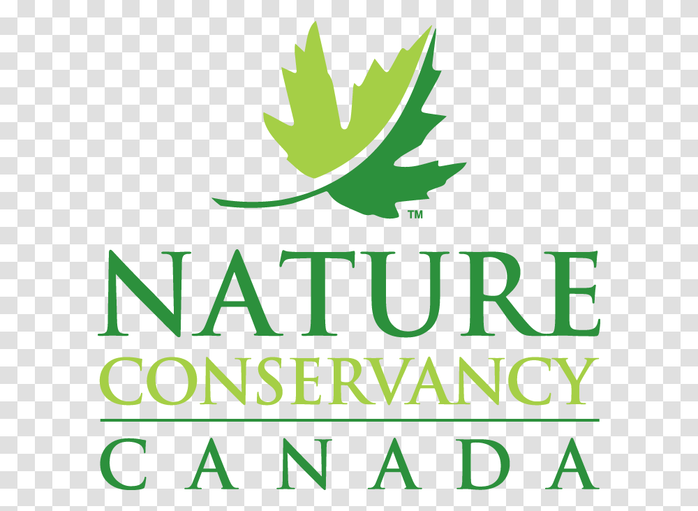 Shop Now Button Nature Conservancy Of Canada Nova Scotia, Leaf, Plant, Vase Transparent Png
