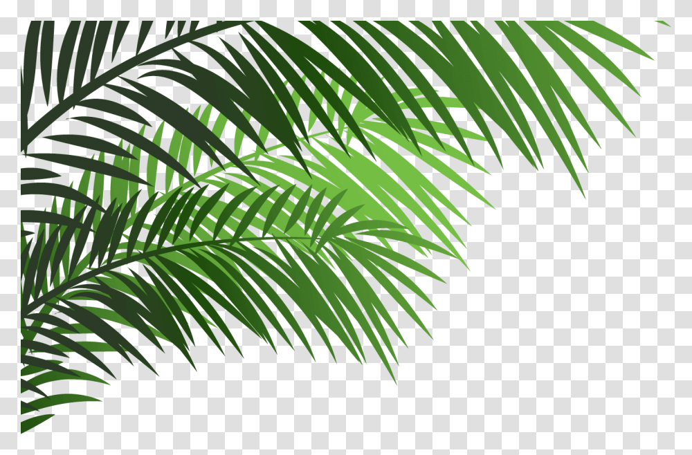 Shopkins Characters, Vegetation, Plant, Green, Rainforest Transparent Png