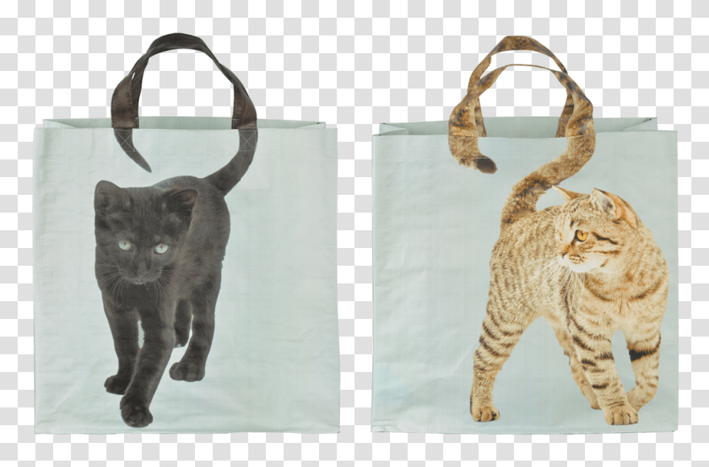 Shopping Bag Cats Tail Ass Shopping Bag With Animal, Pet, Mammal, Home Decor, Manx Transparent Png