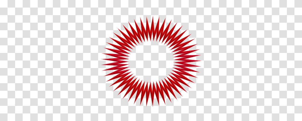 Shopping, Icon, Spiral, Coil, Sunflower Transparent Png