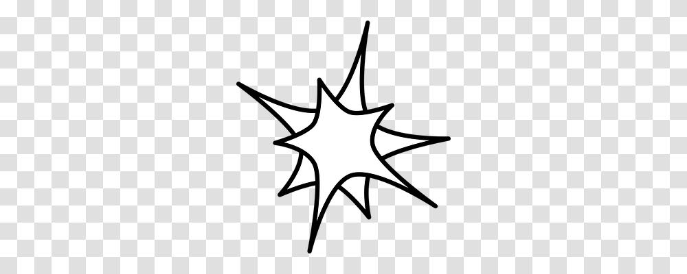 Shopping, Icon, Star Symbol, Person Transparent Png