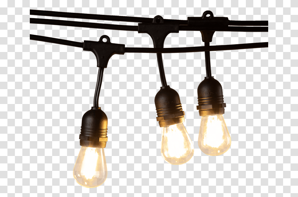 Shopping Plug In Glass Bulb Led Double Filament String Incandescent Light Bulb, Lighting, Lightbulb, Light Fixture Transparent Png