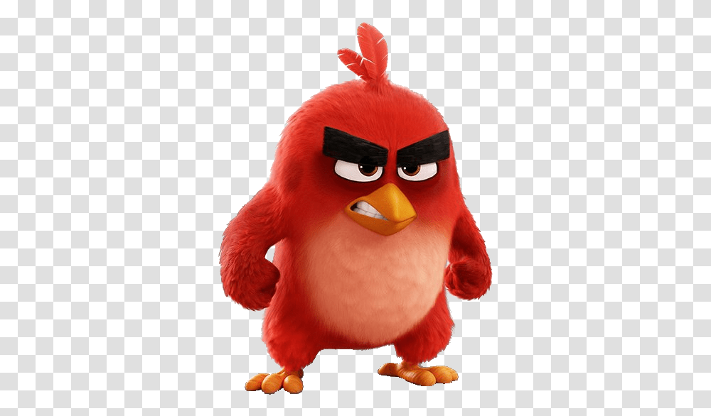 Short Angry Quotes Most Of The Angry Birds Are Born, Toy Transparent Png