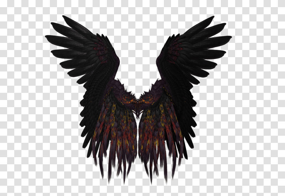 Short Black And Purple Wings, Bird, Animal, Fractal Transparent Png