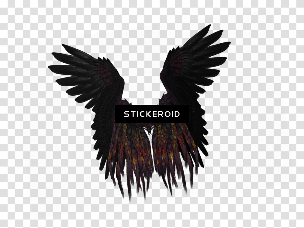 Short Black And Purple Wings Fly Feather, Bird, Animal, Blackbird, Eagle Transparent Png