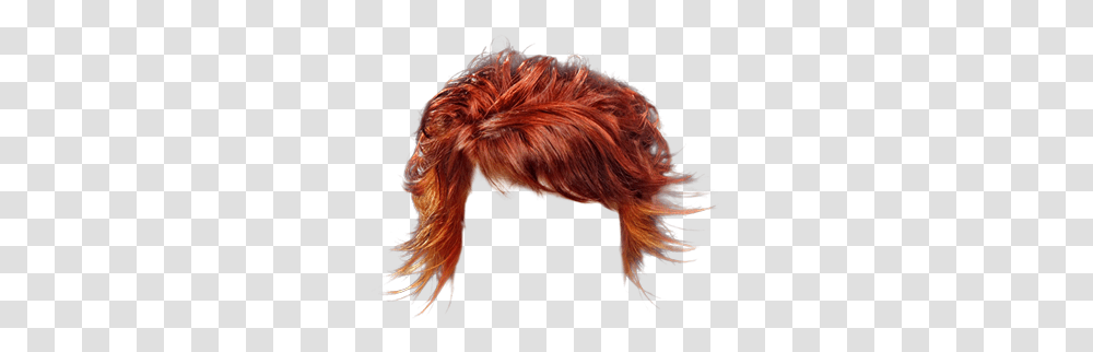 Short Curly Ginger Red Hairstyle With Side Swept Bangs Curly Red Hair, Person, Canine, Mammal, Animal Transparent Png