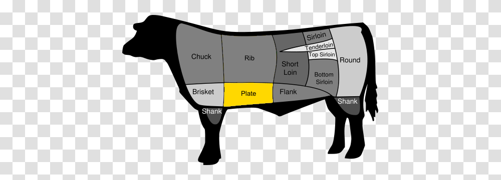 Short Ribs, Plot, Nature, Diagram, Outdoors Transparent Png