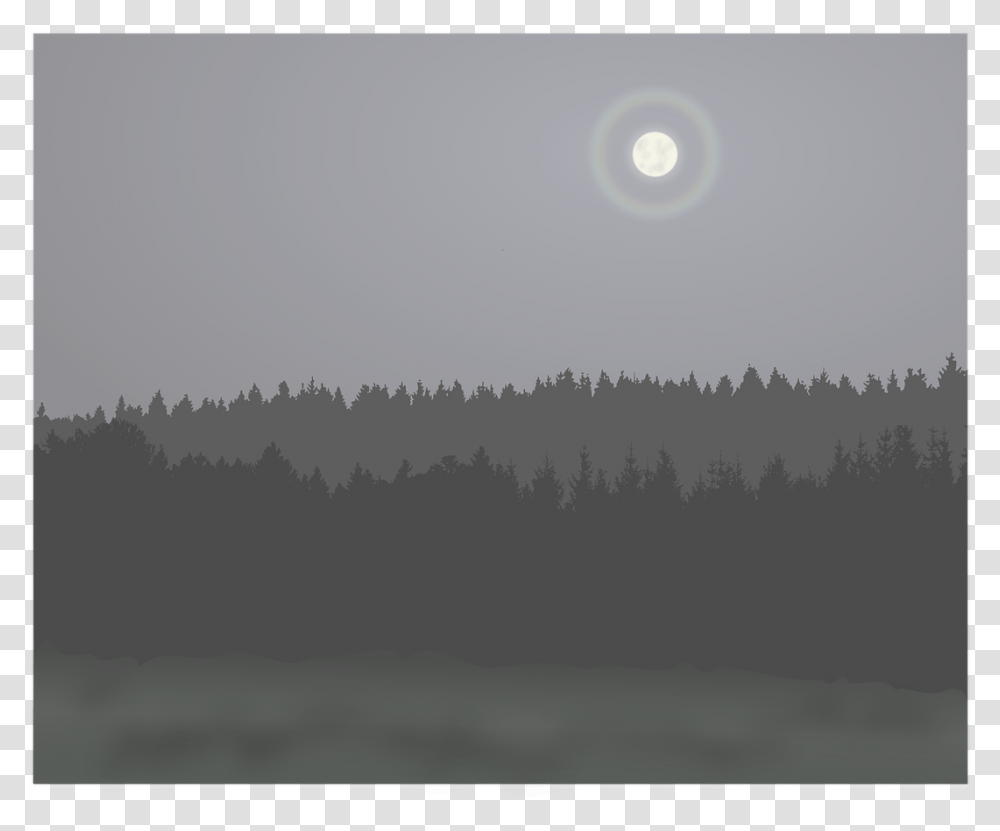 Shortleaf Black Spruce, Nature, Outdoors, Night, Moon Transparent Png