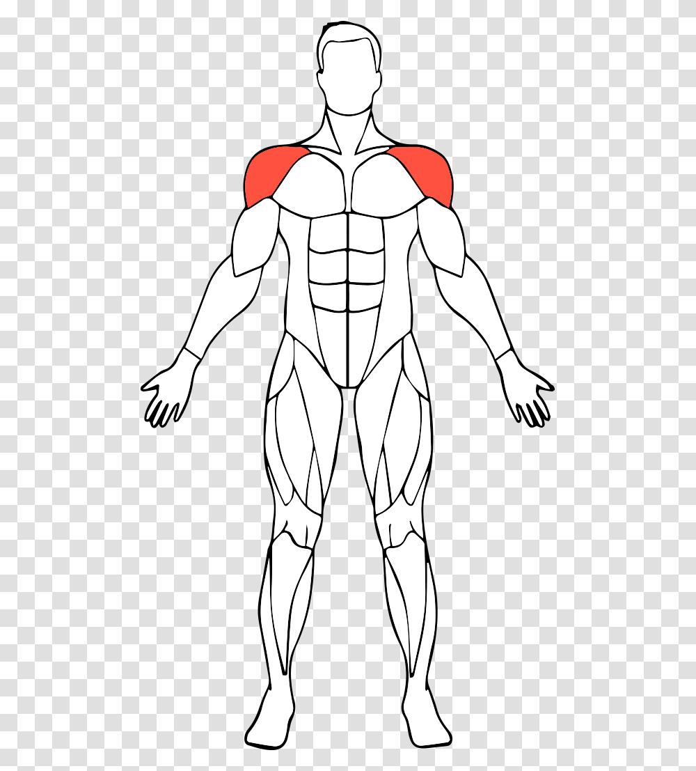 Shoulders Muscle, Alien, Person, Statue Transparent Png