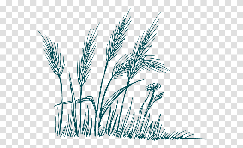 Shovel, Grass, Plant, Bird, Animal Transparent Png