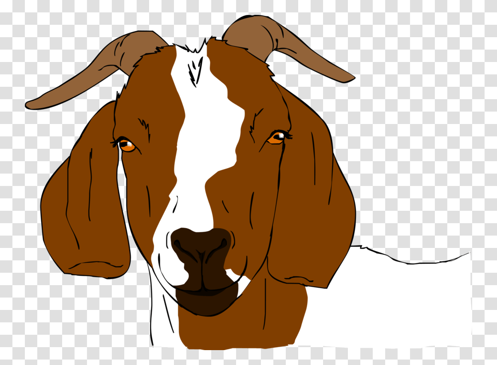 Show Goat Cliparts, Mammal, Animal, Cattle, Face Transparent Png