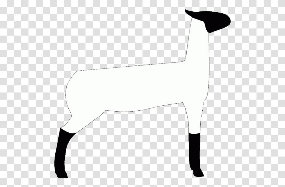 Show Lamb Clip Art, Mammal, Animal, Appliance, Blow Dryer Transparent Png