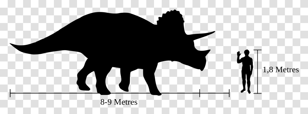 Show Pig Silhouette 9 Buy Clip Art Triceratops Compared To Human, Gray, World Of Warcraft Transparent Png