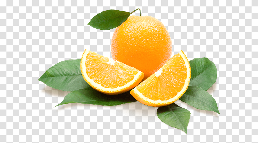 Showcase Of Citrus Background Oranges, Citrus Fruit, Plant, Food, Grapefruit Transparent Png