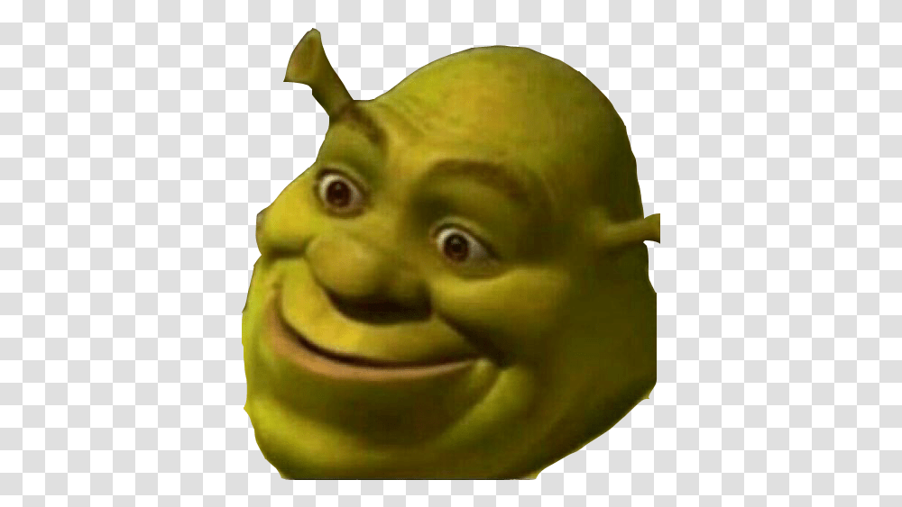 Shrecklooking Discord Emoji Shrek Funny Face, Head, Figurine, Alien, Toy Transparent Png