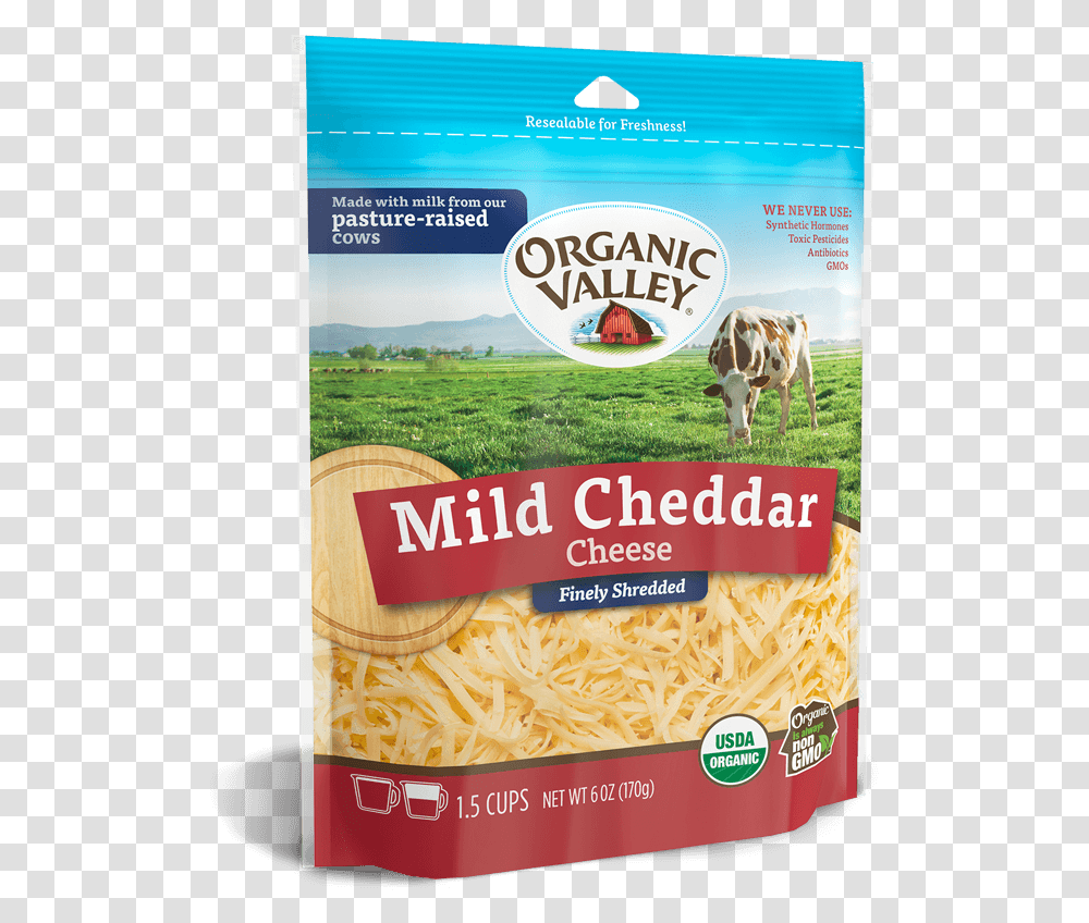 Shredded Cheese, Cow, Cattle, Mammal, Animal Transparent Png