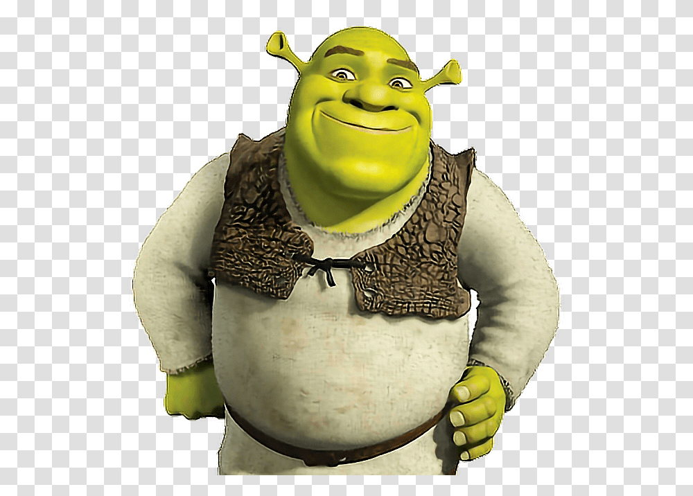 Shrek, Armor, Person, Human, Costume Transparent Png