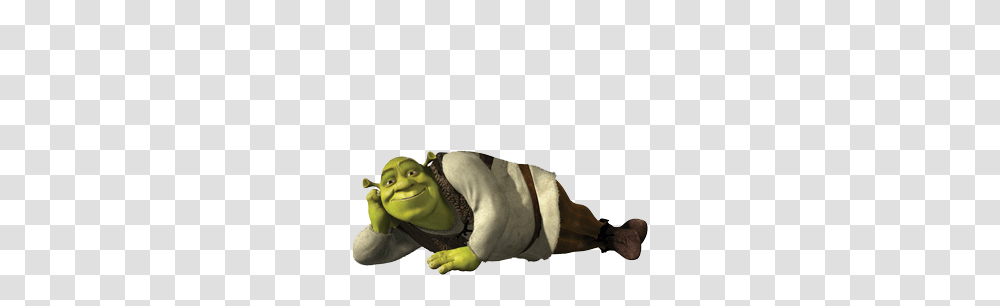 Shrek, Character, Person, Animal, Photography Transparent Png
