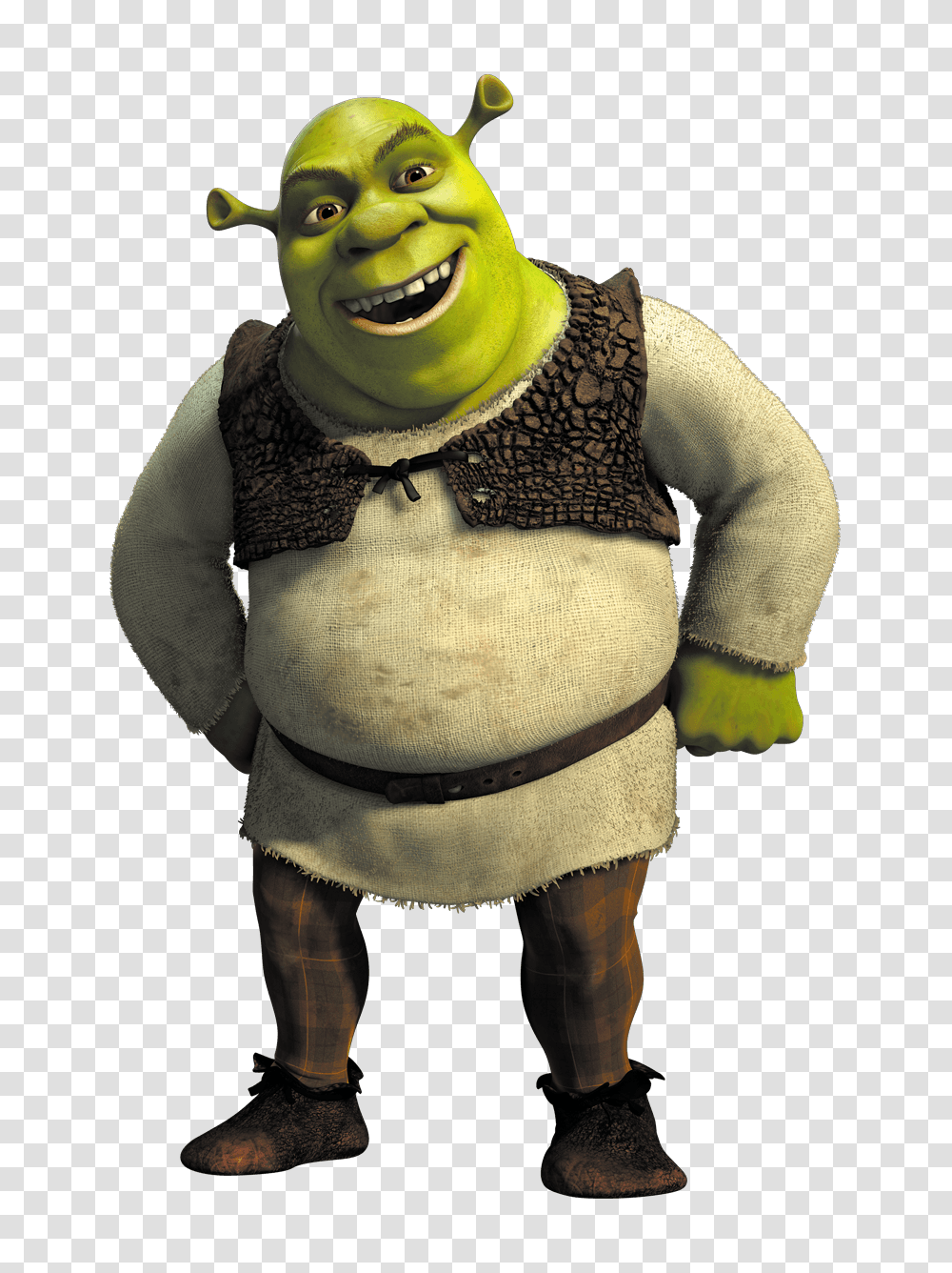 Shrek, Character, Person, Human, Costume Transparent Png