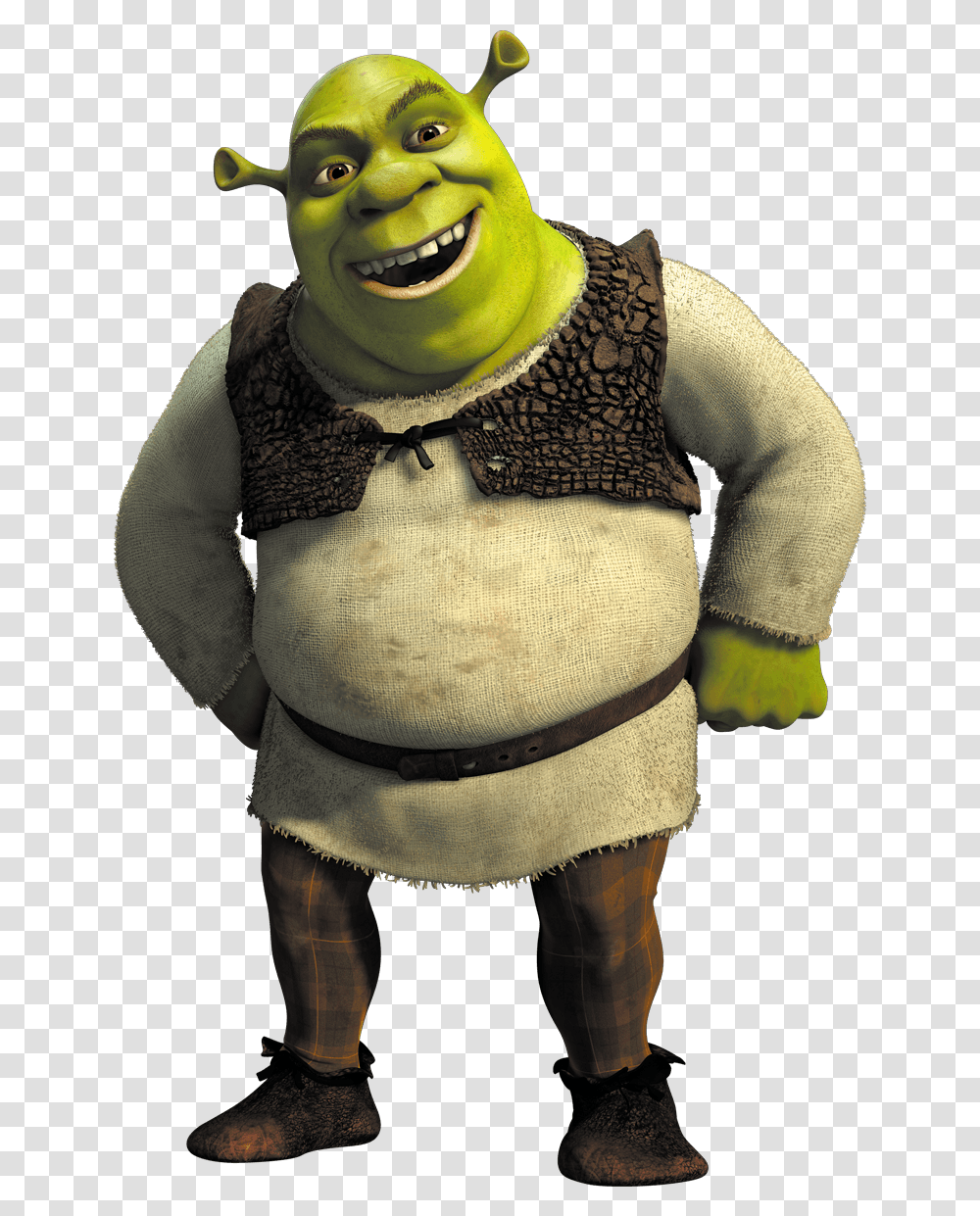 Shrek, Person, Face, Toy Transparent Png