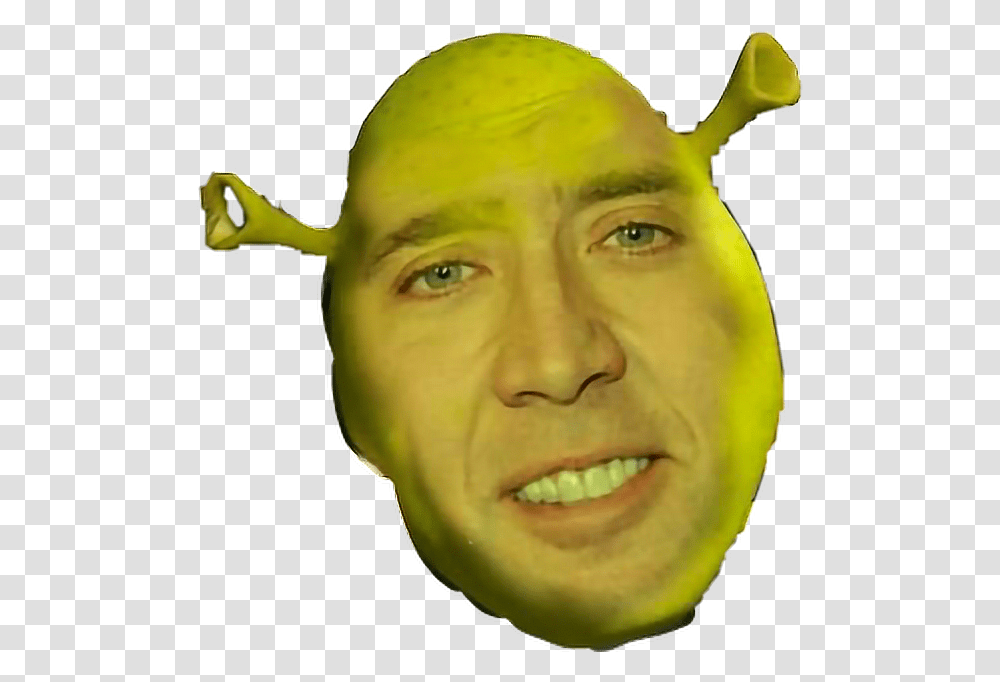 Shrek Dankfreetoedit, Head, Person, Face, Plant Transparent Png