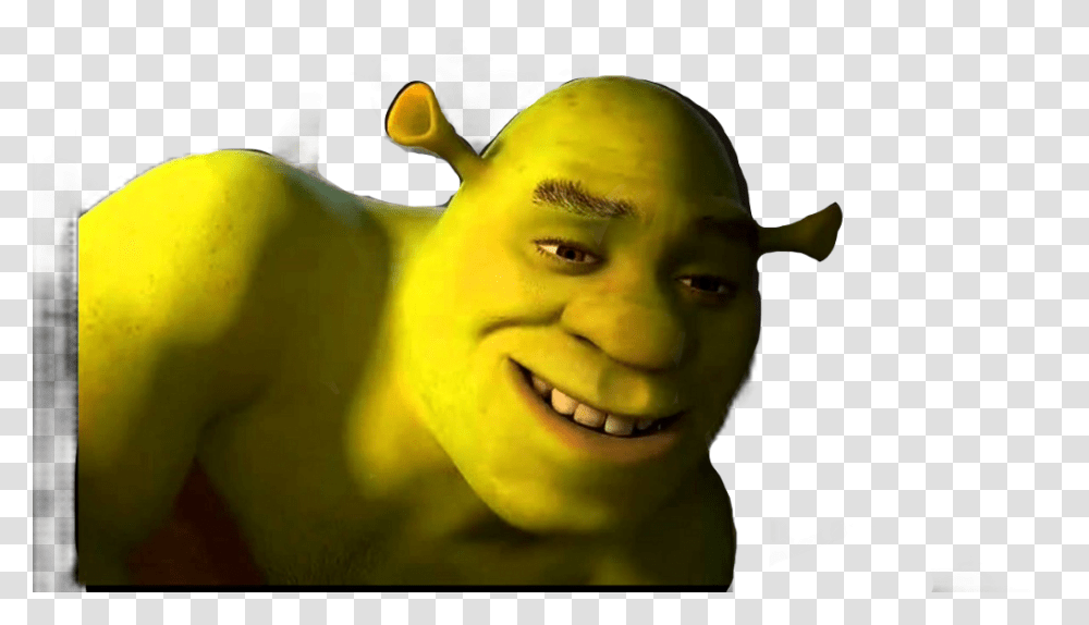 Shrek Ears Sexy Shrek, Head, Face, Person, Plant Transparent Png