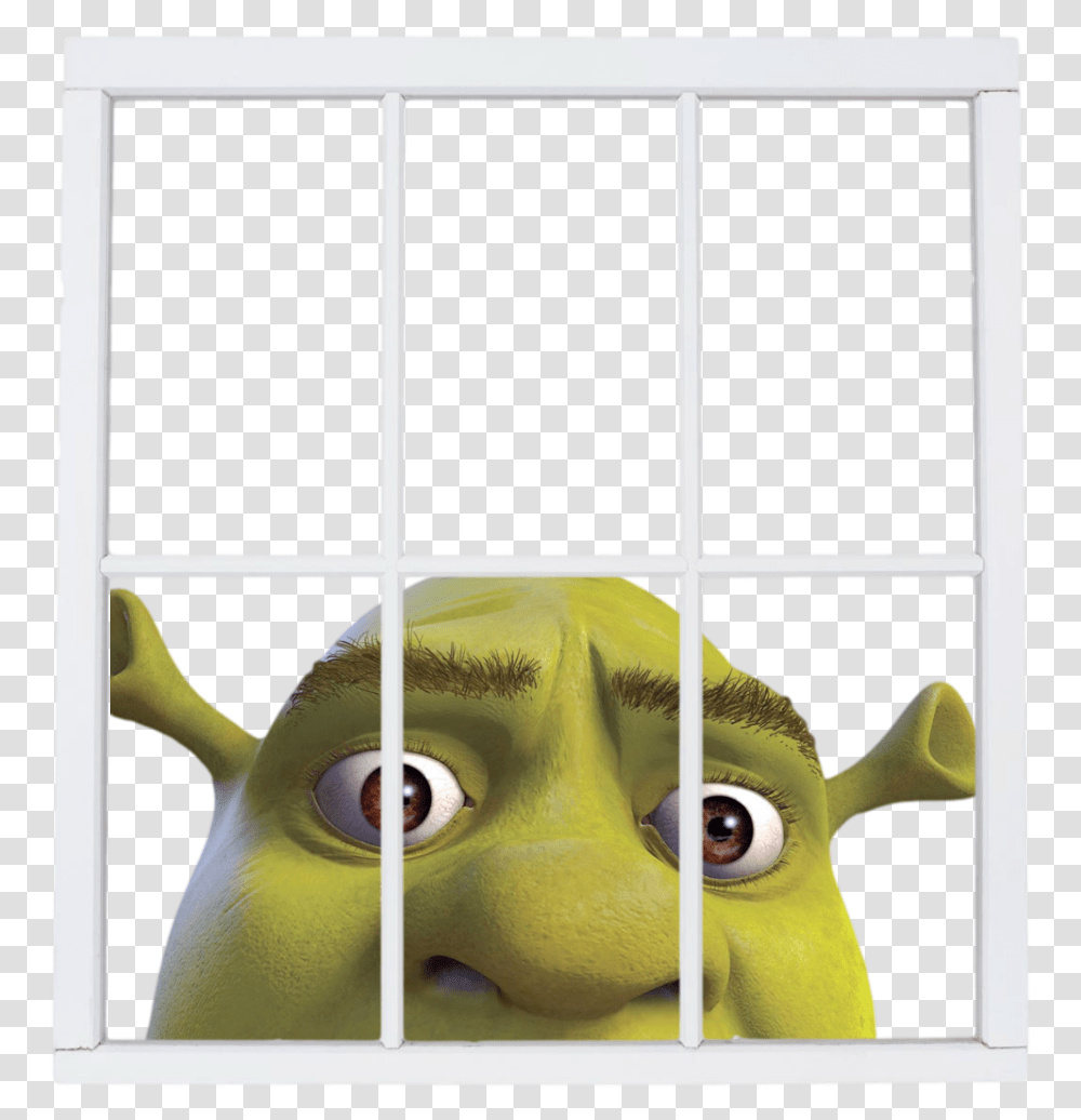 Shrek Face Download Shrek In A Window, Bird, Animal, Picture Window, Toy Transparent Png