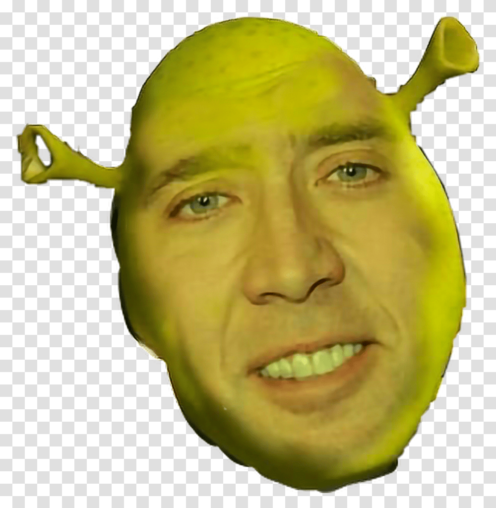 Shrek Face Nicolas Cage, Head, Person, Plant, Jaw Transparent Png