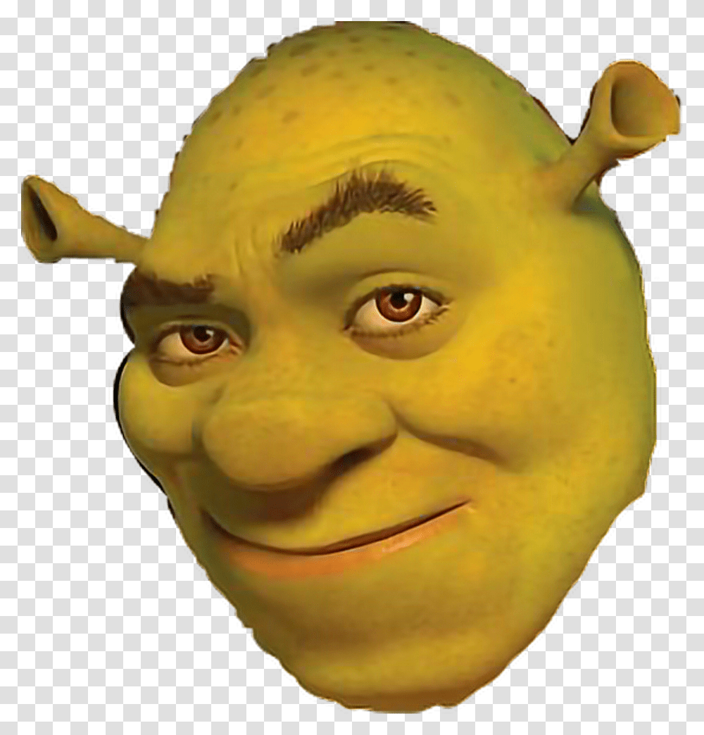 Shrek Face Shrek Forever After, Head, Alien, Figurine, Mask Transparent Png