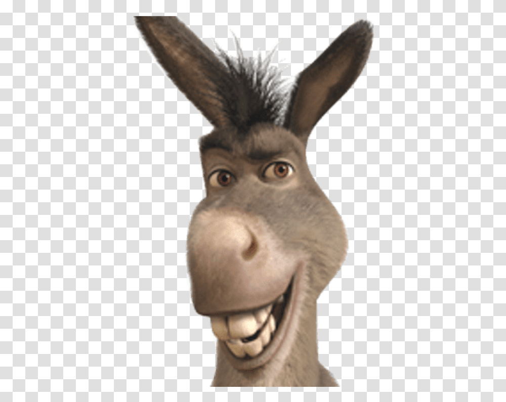 Shrek Head Donkey From Shrek Smiling, Snout, Animal, Mammal, Person Transparent Png