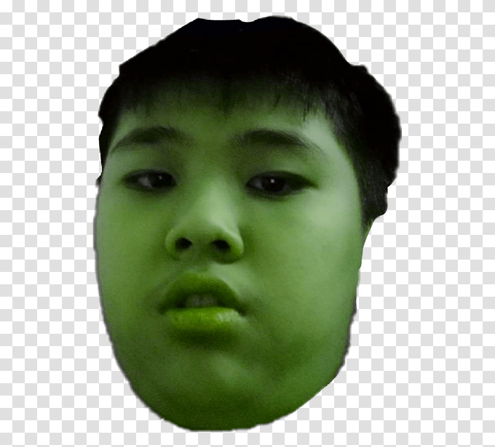 Shrek Head Shrek Boy, Face, Person, Mouth Transparent Png