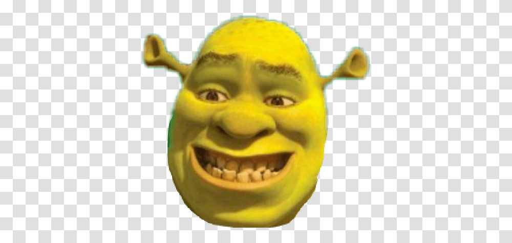 Shrek, Head, Toy, Face, Crowd Transparent Png