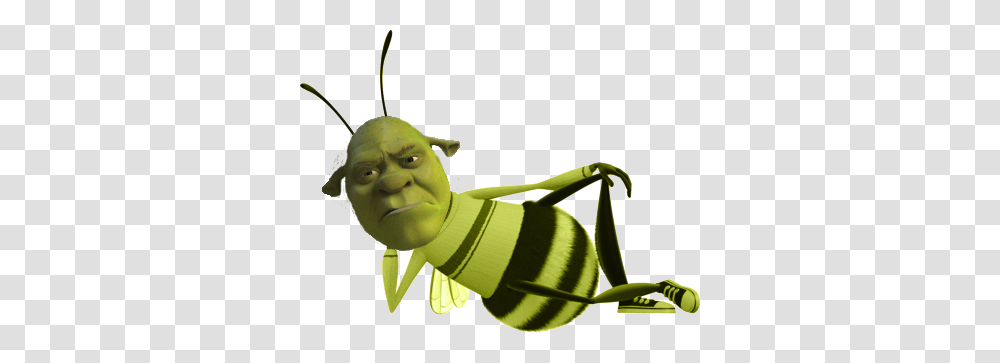 Shrek Is Love Shrek Is Life, Animal, Invertebrate, Insect, Wasp Transparent Png