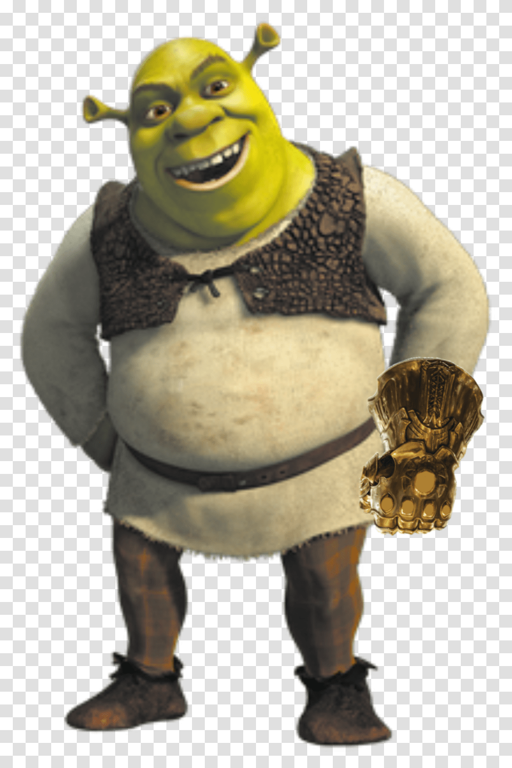 Shrek Is On A Mission To Get All The Infinity Stones Shrek, Person, Face, People Transparent Png