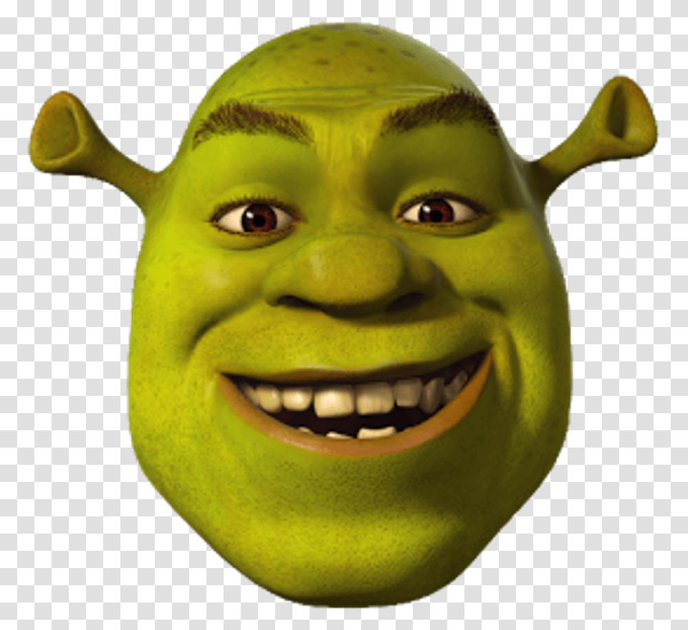 Shrek Meme Dank Mlg Funny Fun Shrek The Third, Toy, Head, Alien, Mask Transparent Png