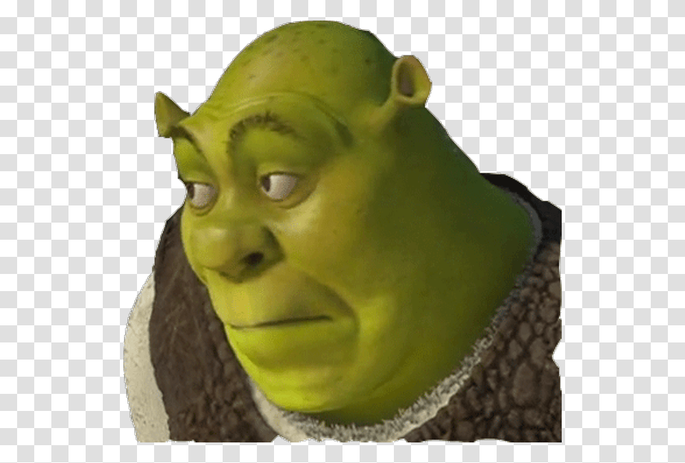 Shrek Meme, Head, Figurine, Jaw, Mask Transparent Png