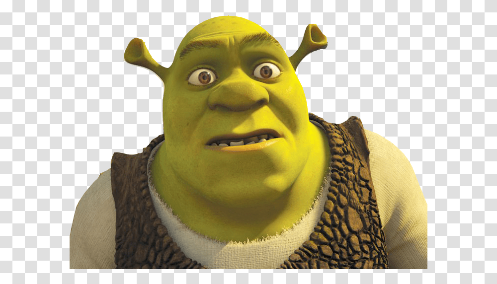 Shrek Practice - My Blog Eye Level Shot Animation, Figurine, Head, Toy, Person Transparent Png