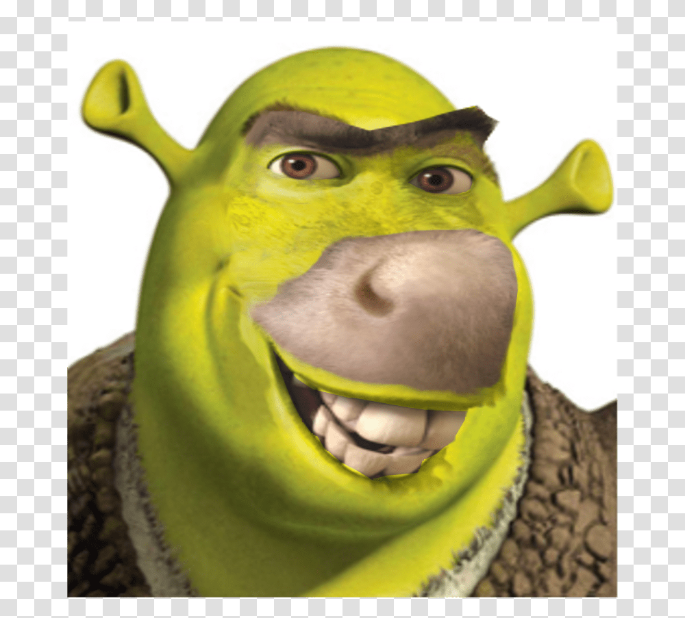 Shrek Profile, Animal, Bird, Reptile, Banana Transparent Png