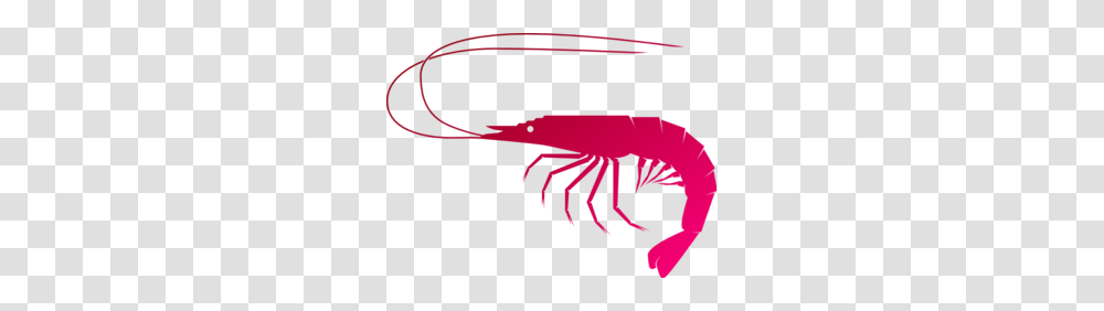 Shrimp Clip Art, Seafood, Animal, Sea Life, Crawdad Transparent Png