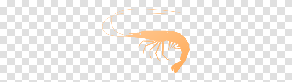 Shrimp Clip Art, Seafood, Sea Life, Animal, Crawdad Transparent Png