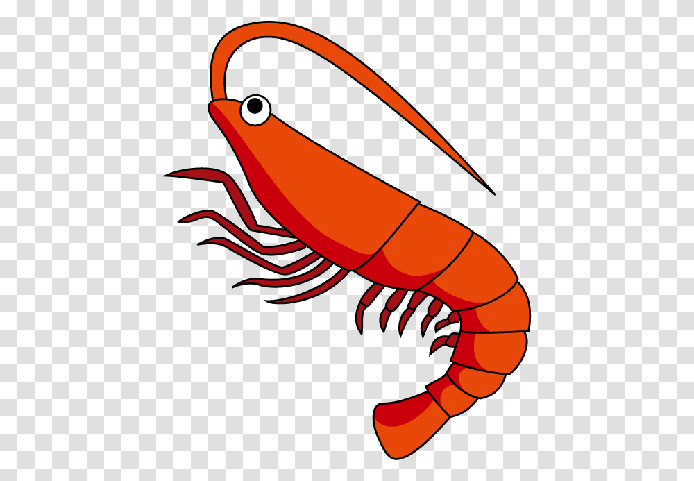 Shrimp Clipart Clipart Station, Seafood, Sea Life, Animal Transparent Png